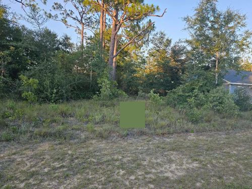 Lot 12 Shenandoah Boulevard, CHIPLEY, FL, 32428 | Card Image