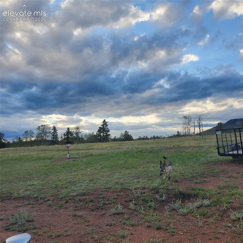 3243 County Road 86, Victor, CO, 80860-5065 | Card Image
