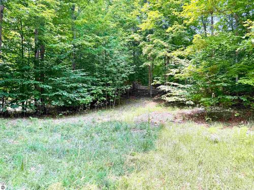 0015 S Mistys Trail, Empire, MI, 49630 | Card Image