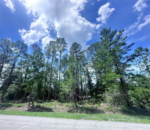 107 S Georgetown Point Rd, Georgetown, FL, 32139 | Card Image