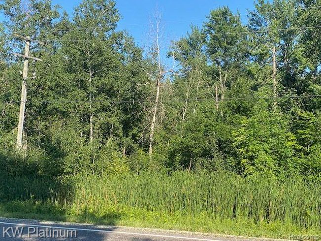 1 V/L Wadhams Road, Home with 0 bedrooms, 0 bathrooms and null parking in Kimball Township MI | Image 8