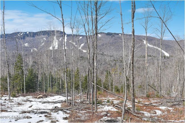 48 Durkin Rd, Home with 0 bedrooms, 0 bathrooms and null parking in North Creek NY | Image 17