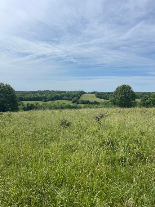 203-000 Hc 66, Sparta, MO, 65753-9803 | Card Image