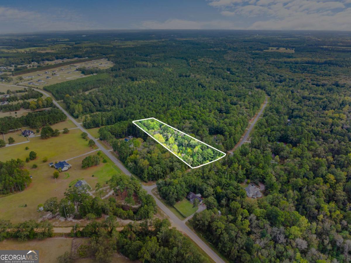 Land in Statesboro 3