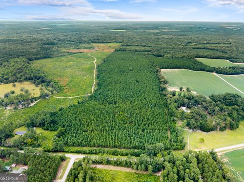 APPRX 14 ACRES Old River Rd N, Statesboro, GA, 30461 | Card Image