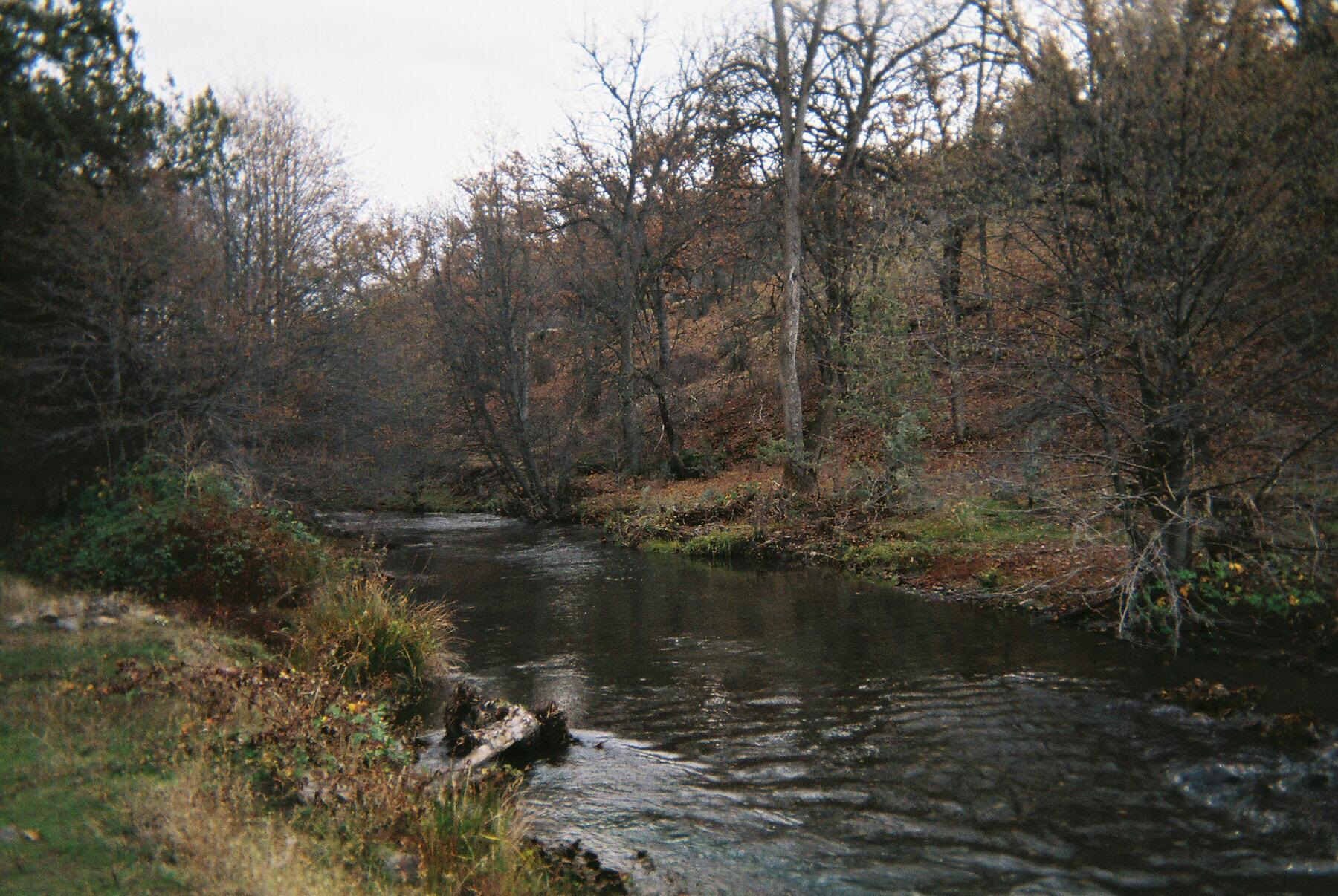 Land in Hornbrook