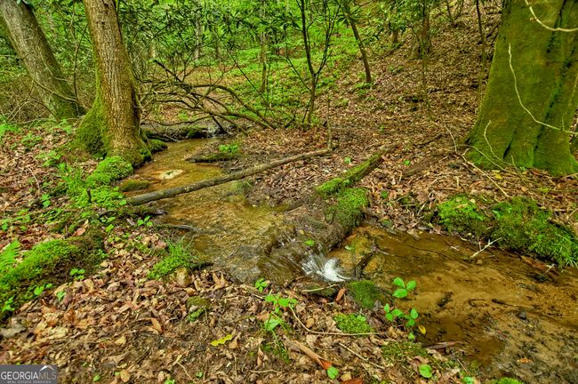 LOT 68 Toccoa Taquohee Trl, Home with 0 bedrooms, 0 bathrooms and null parking in Blue Ridge GA | Image 25