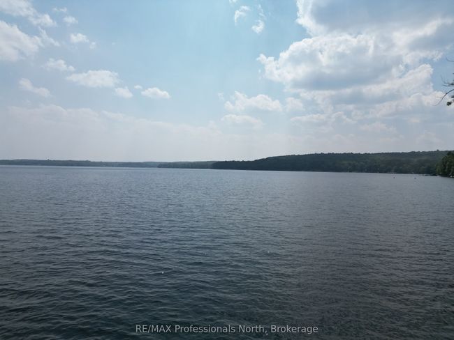 0 Halls Lake Rd, Home with 0 bedrooms, 0 bathrooms and null parking in Algonquin Highlands ON | Image 8