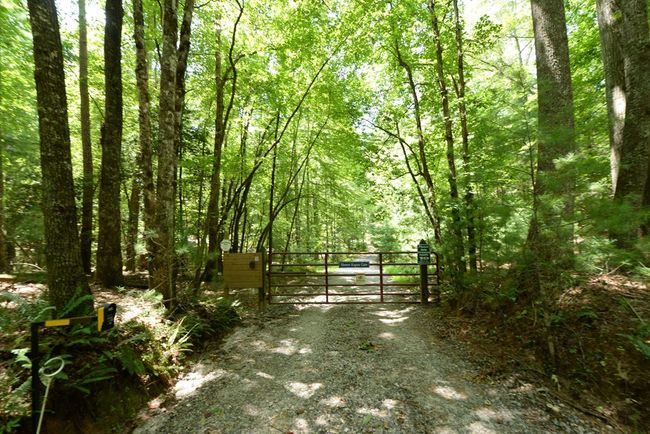 890 Mountain Lake Cir, Home with 3 bedrooms, 3 bathrooms and null parking in Blue Ridge GA | Image 38