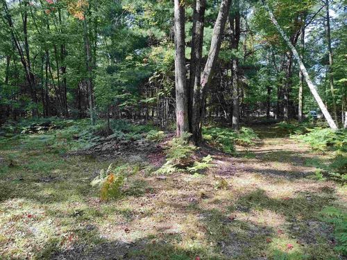 4317 Elbow Lake Rd, Prescott, MI, 48756-9350 | Card Image