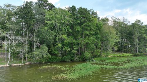 710-acres-plus-58-ac-a-0 Gibson Cove Dr, Ashville, AL, 35953 | Card Image