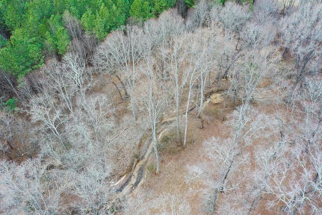 4031 Marion Rd, Home with 0 bedrooms, 0 bathrooms and null parking in Chatham VA | Image 46