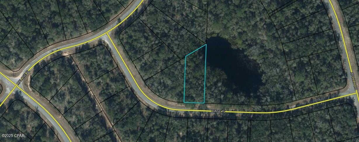 Land in Chipley 2