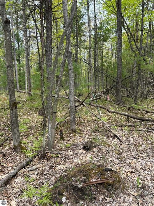 TBD Muncie View Trail, Traverse City, MI, 49696 | Card Image