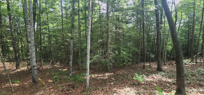 20 Bluff View Loop, Home with 0 bedrooms, 0 bathrooms and null parking in Allardt TN | Image 9