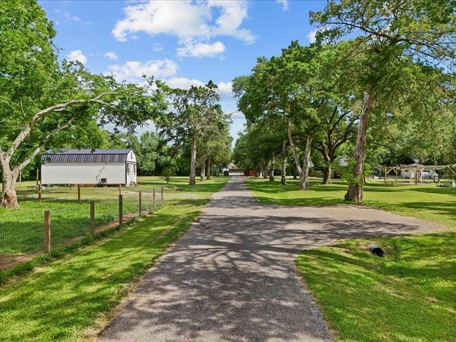 Long private drive flanked by mature trees and fenced pastures, welcoming you home. | Image 44