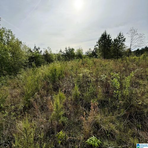 1-1154 Knopf Dr N, Warrior, AL, 35180 | Card Image