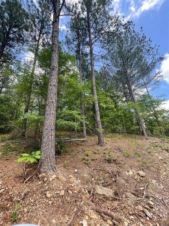 Land in Broken Bow