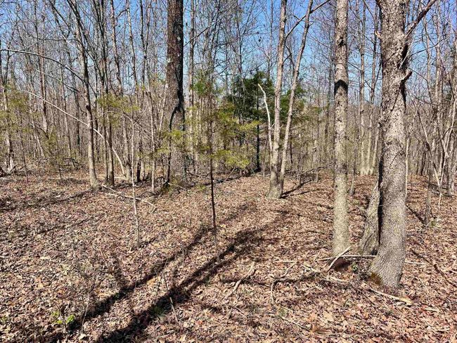 000 Dabney Rd, Home with 0 bedrooms, 0 bathrooms and null parking in Jerusalem AR | Image 15