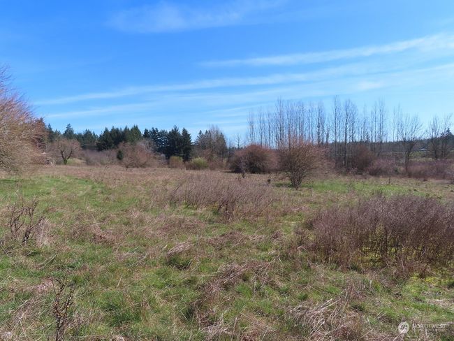 A - 107 Avery Rd W, Home with 0 bedrooms, 0 bathrooms and null parking in Napavine WA | Image 6