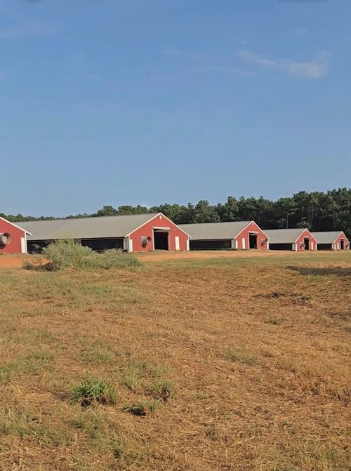 2094 County Road 848, Cushing, TX, 75760-5758 | Card Image