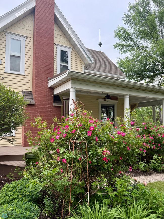 Annual flowers in bloom | Image 61
