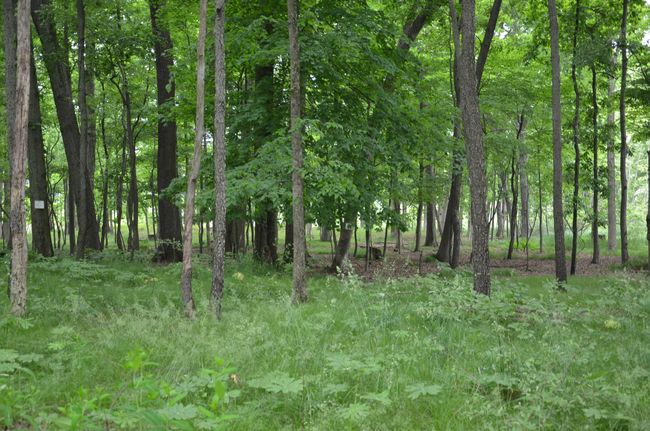 4500 S 42 Nd St, Home with 0 bedrooms, 0 bathrooms and null parking in Climax MI | Image 44