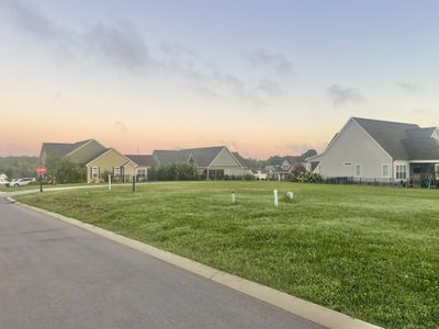 The view from this angle shows the road frontage along Turtle Court. What a great lot for building your dream home or vacation destination here! | Image 3