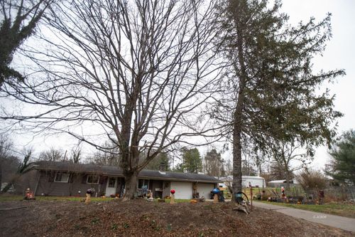 20 Silver Globe Rd, Marietta, OH, 45750-6323 | Card Image