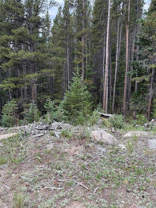 179 Mine Rd, Idaho Springs, CO, 80452-9737 | Card Image