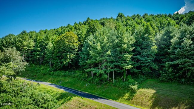 10 Cowan Town Rd, Home with 0 bedrooms, 0 bathrooms and null parking in Butler TN | Image 6