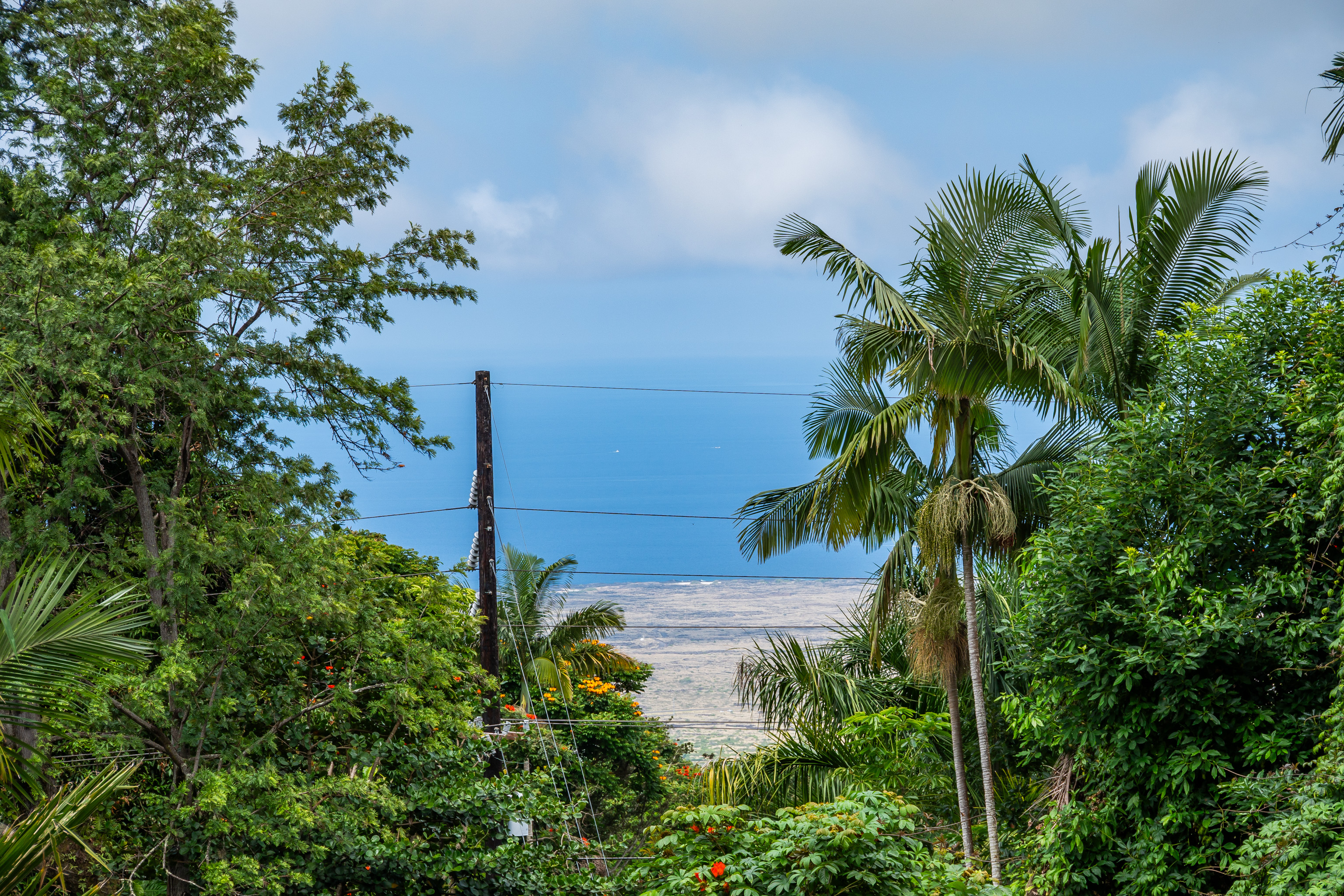 Residential in Holualoa 2