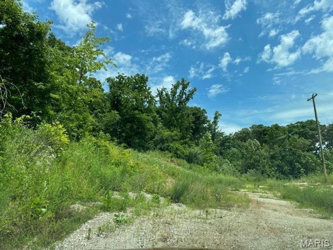 View of nature featuring a view of trees | Image 7