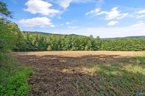 5-3818 -5 County Road 4, Hollytree, AL, 35751-5421 | Card Image