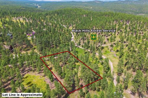 Lot 10 Sunnyside Gulch Rd, Silver City, SD, 57702 | Card Image