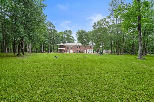 Expansive backyard with lush greenery and surrounding trees. | Image 14