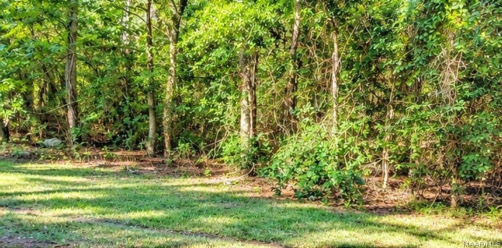 Land in Greensboro 5