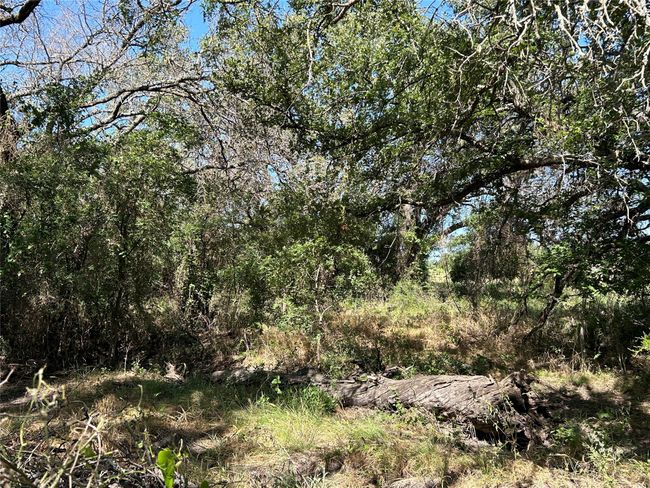 341 Fm 574 W, House other with 5 bedrooms, 3 bathrooms and null parking in Goldthwaite TX | Image 39