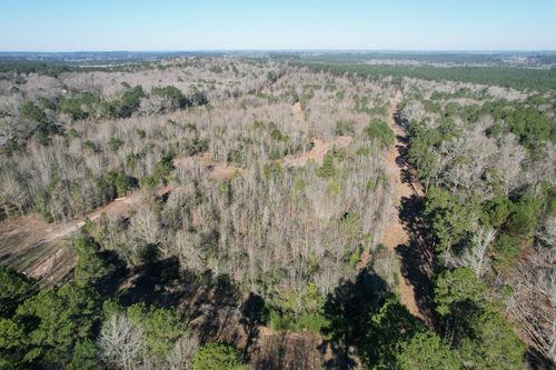 TBD County Road 4919, Timpson, TX, 75975 | Card Image