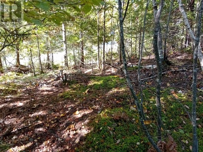 372 Aspen Rd, Home with 0 bedrooms, 0 bathrooms and null parking in Anglemont BC | Image 4