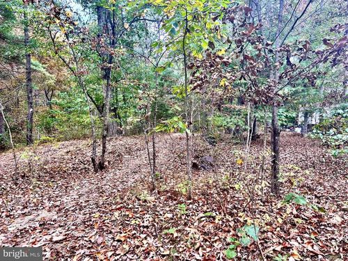 Parcel 38 Conservation Drive, HEDGESVILLE, WV, 25427 | Card Image