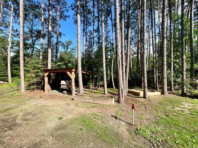 Backyard.jpeg | Image 23