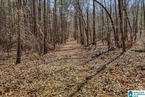 lot-4-Lot 4 Highway 47, Columbiana, AL, 35051 | Card Image