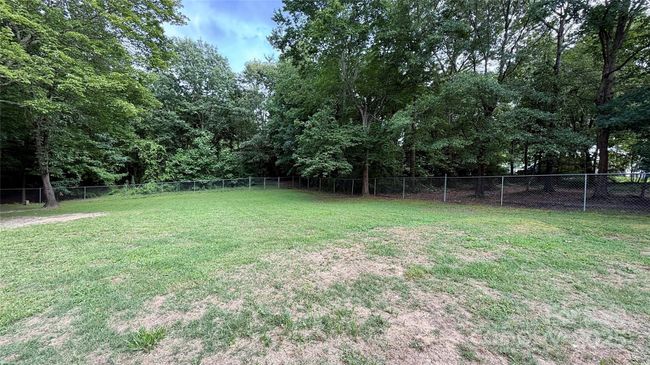 Massive yard | Image 35