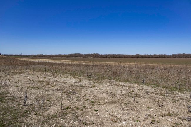 View of local wilderness with a rural view | Image 10