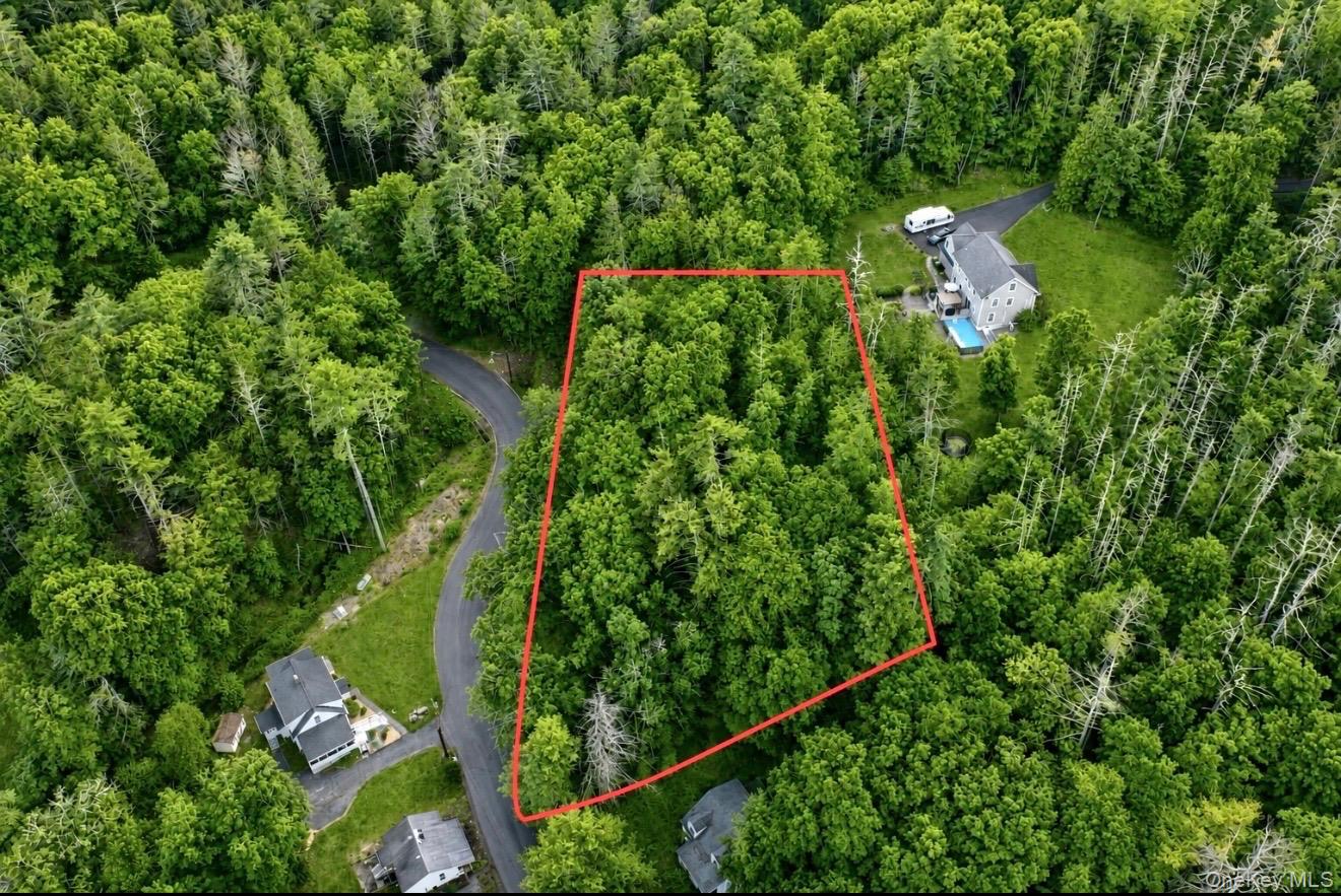 Land in Kingston 2