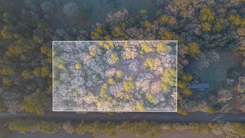 162 Meadow Ln, Livingston, TX, 77351-5908 | Card Image