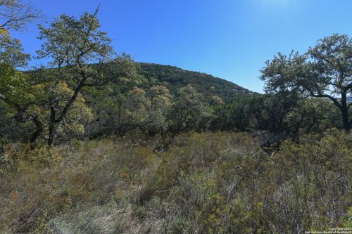 286 Private Road 1733, Mico, TX, 78056 | Card Image