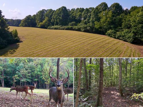 tract-7-wolf-hill-0 Wolf Hill Rd, Mc Arthur, OH, 45651 | Card Image