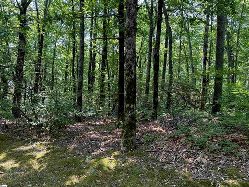 00 Lacey Fern Way, Landrum, SC, 29356 | Card Image